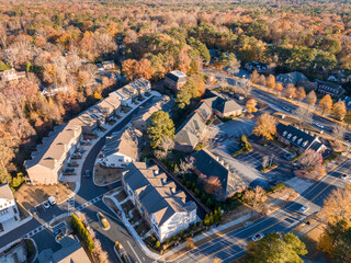 Aerial view of typical suburban houses in Atlanta Metro Area - obrazy, fototapety, plakaty