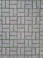 Obraz premium Floor made of stones forming a beautiful mosaic with some grass growing in the middle.