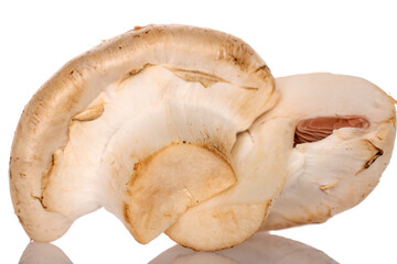 Two halves of organic fresh appetizing champignon mushroom, close-up, on a white background.