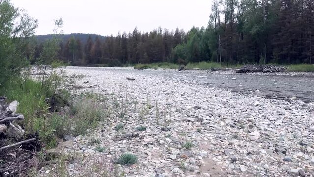 Eastern Siberia. Kolyma Range. A river with pebble shores during the summer steady low water level. Taiga grows around with a predominance of larch