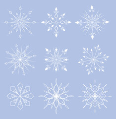 Fototapeta na wymiar set of snowflakes elements perfect for new year christmas and winter, patterm elements.