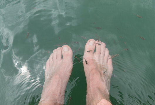 First Person View Of Male Feets Into Lake Water With Small Fishes Swimming Around Feets