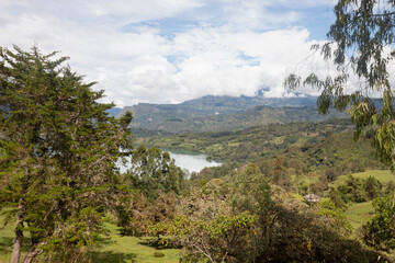 Colombian guavio reservoir landscape with andean mountains and tree in sunny day