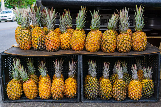 Pineapples for sale on a street vendor stand in Belo Horizonte, Minas Gerais, Brazil.
