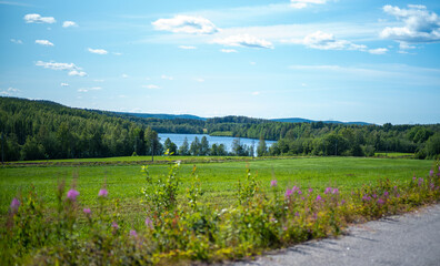 Natural Real Lake, Swedish Landscape