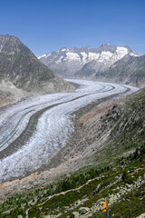 View on Altsch glacier in the alps
