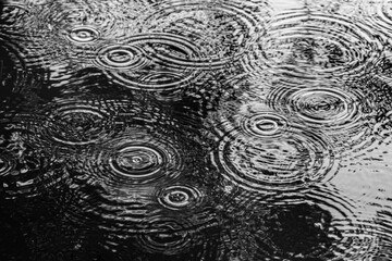Rain drops form a pattern of concentric circles