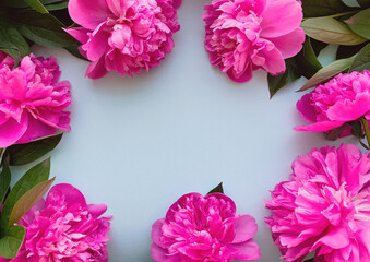 Flowers composition. Frame made of pink flowers peonies on blue background