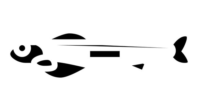 alevins salmon glyph icon animation