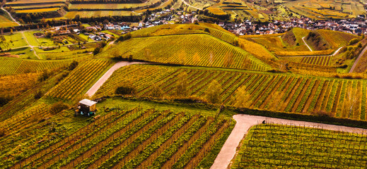 German wine culture landscape in autumn most beautiful hiking areas