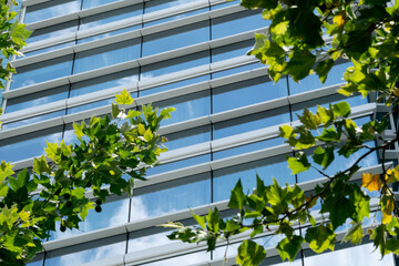 Public company regional office headquarters building structure complex on corporate campus downtown draws high demand workers into work in growing real estate markets