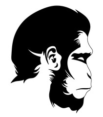 Monkey head. Isolated illustration of the head of an ancient person.