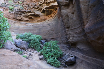 View in the Cow Gorge in center of Gran Canaria