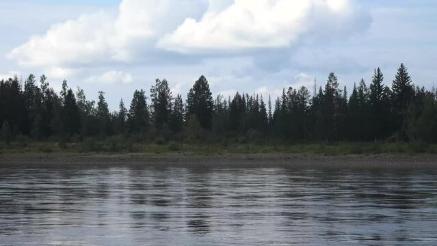  Aldan River, tributary of the great Siberian Lena River. Smooth strong current abd whirlpools, Boreal forests (larch taiga) along the shores
