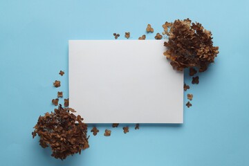 Dried hortensia flowers and sheet of paper on light blue background, flat lay. Space for text