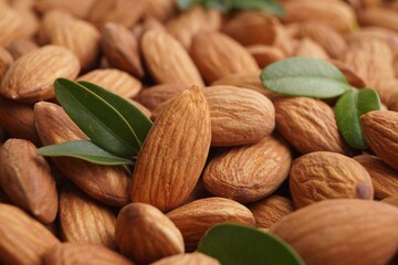 Many delicious almonds and fresh leaves as background, closeup