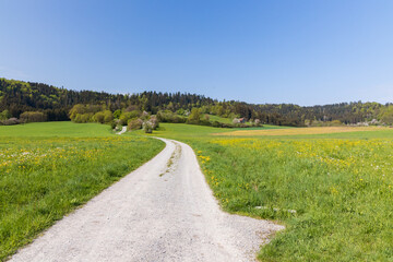 Fototapeta na wymiar Gravel road with green field and farm fields in the background in the German countryside 