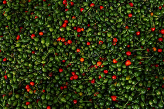 Heap of fresh delicious chiltepin as background, top view