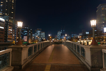 Naklejka premium 中之島ばらぞの橋からの夜景