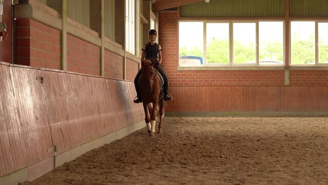 Dressage Rider On Horse Walking In Indoor Riding Arena