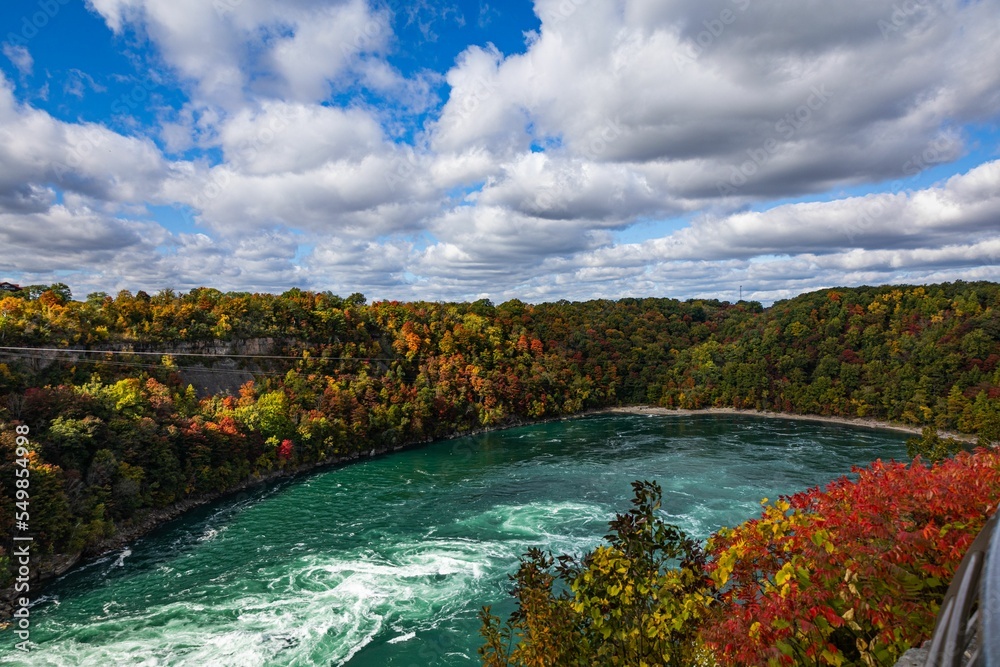 Poster Clear river with an autumn tree forest on the shore