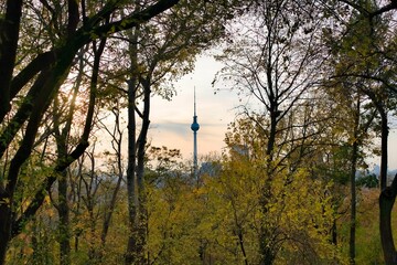 Berlin TV Tower from a forest