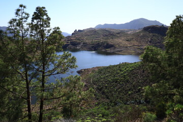 Fototapeta na wymiar View on the lake of Presa De Las Niñas in Gran Canaria 