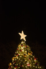 christmas tree with stars