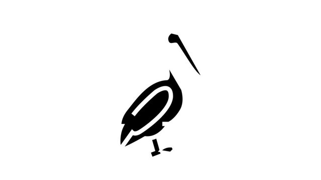 pelican bird glyph icon animation