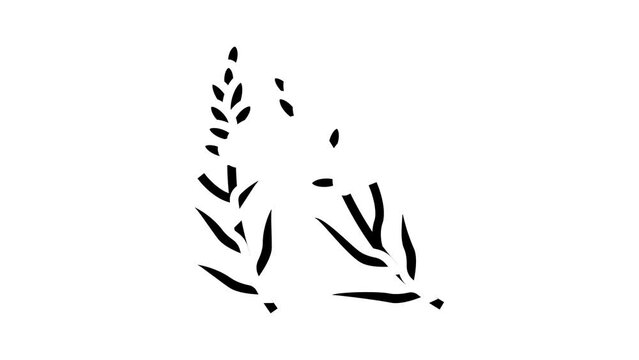 lavender herb glyph icon animation