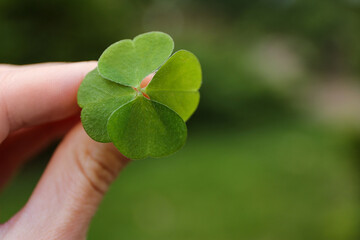 Woman holding beautiful green four leaf clover outdoors, closeup. Space for text