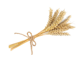 Bunch of dried wheat on white background, top view