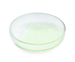 Petri dish with liquid isolated on white