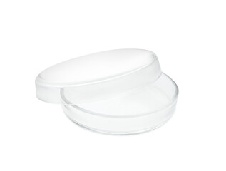 Empty glass Petri dishes isolated on white