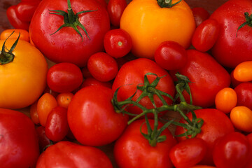 Tasty fresh tomatoes as background, closeup view
