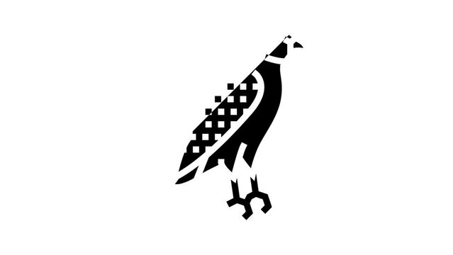 hawk bird glyph icon animation