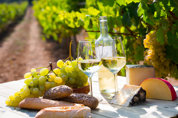 Fototapeta premium Glasses and bottles of white wine, cheese, bread and grapes against sunny vineyard..
