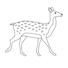 Vector hand drawn flat outline deer isolated on white background
