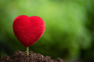 Cultivate a sense of love the soil and save the world.