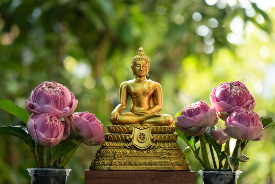 Celebrate the Thai New Year by praying to Buddha images for good fortune.