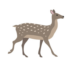 Vector hand drawn flat deer isolated on white background