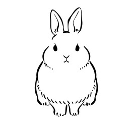 水墨画タッチのうさぎのイラスト