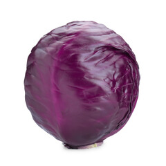 One fresh ripe red cabbage isolated on white