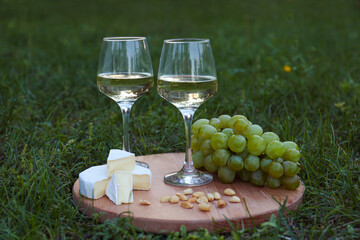 Two glasses of delicious white wine, grapes, cheese and nuts on green grass outdoors