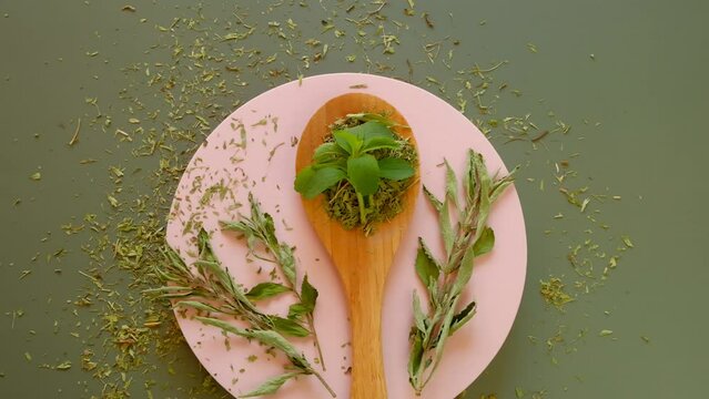 Stevia fresh stevia leaves and dry stevia in a wooden spoon on a pink podium on an olive background.Dietary natural sweetener. 4k footage