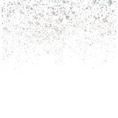 Shiny Silver Glitter Sparkles Transparent