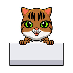 Cute bengal cat cartoon holding blank sign