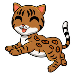 Cute bengal cat cartoon walking