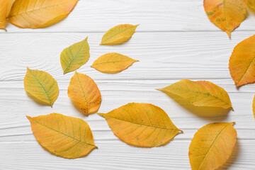 Autumn leaves on white wooden table, flat lay