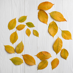 Fototapeta na wymiar Autumn leaves on white wooden table, flat lay